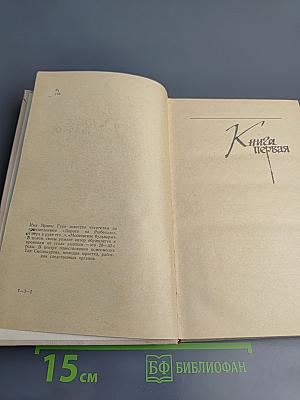 Невидимый всадник