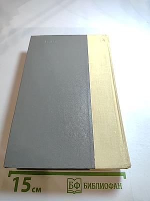 Сердце Бонивура