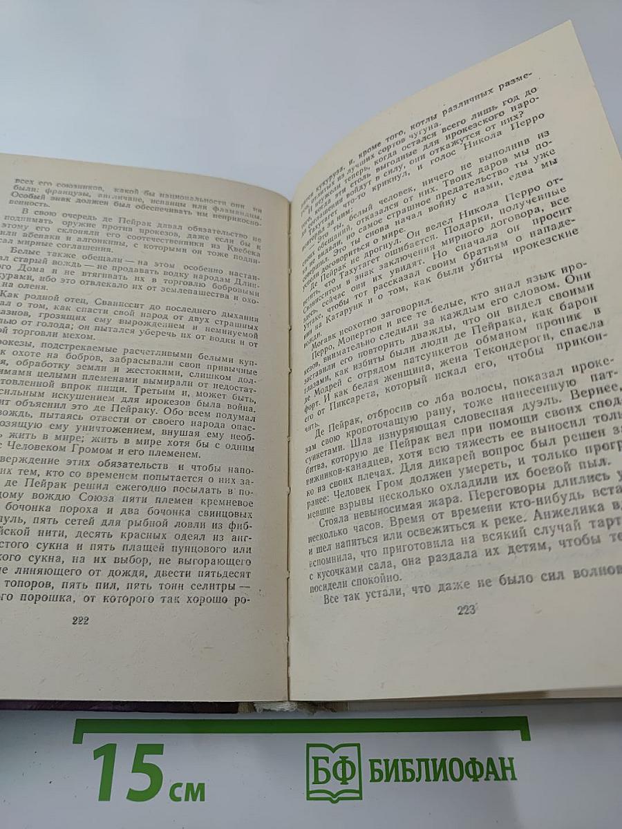 Анжелика в Новом Свете