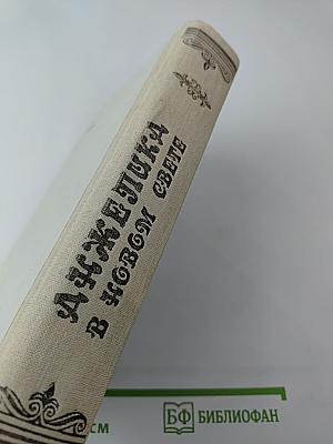 Анжелика в Новом Свете