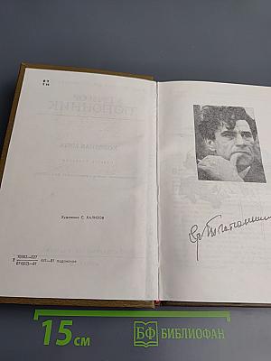 Холодная мята