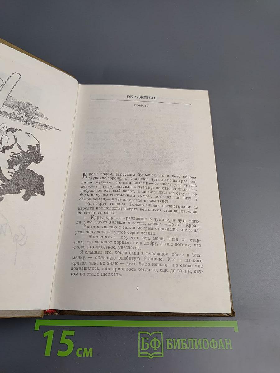 Холодная мята