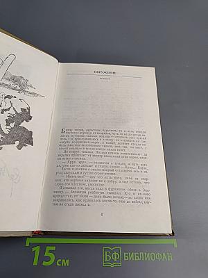 Холодная мята