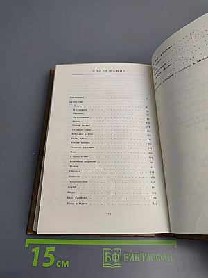 Холодная мята