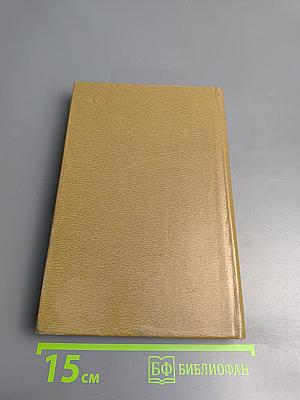 Холодная мята