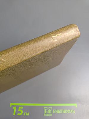 Холодная мята