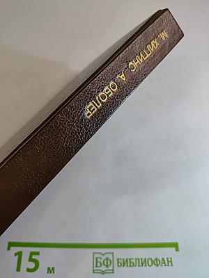 Одинокая колдунья; Дом в огне