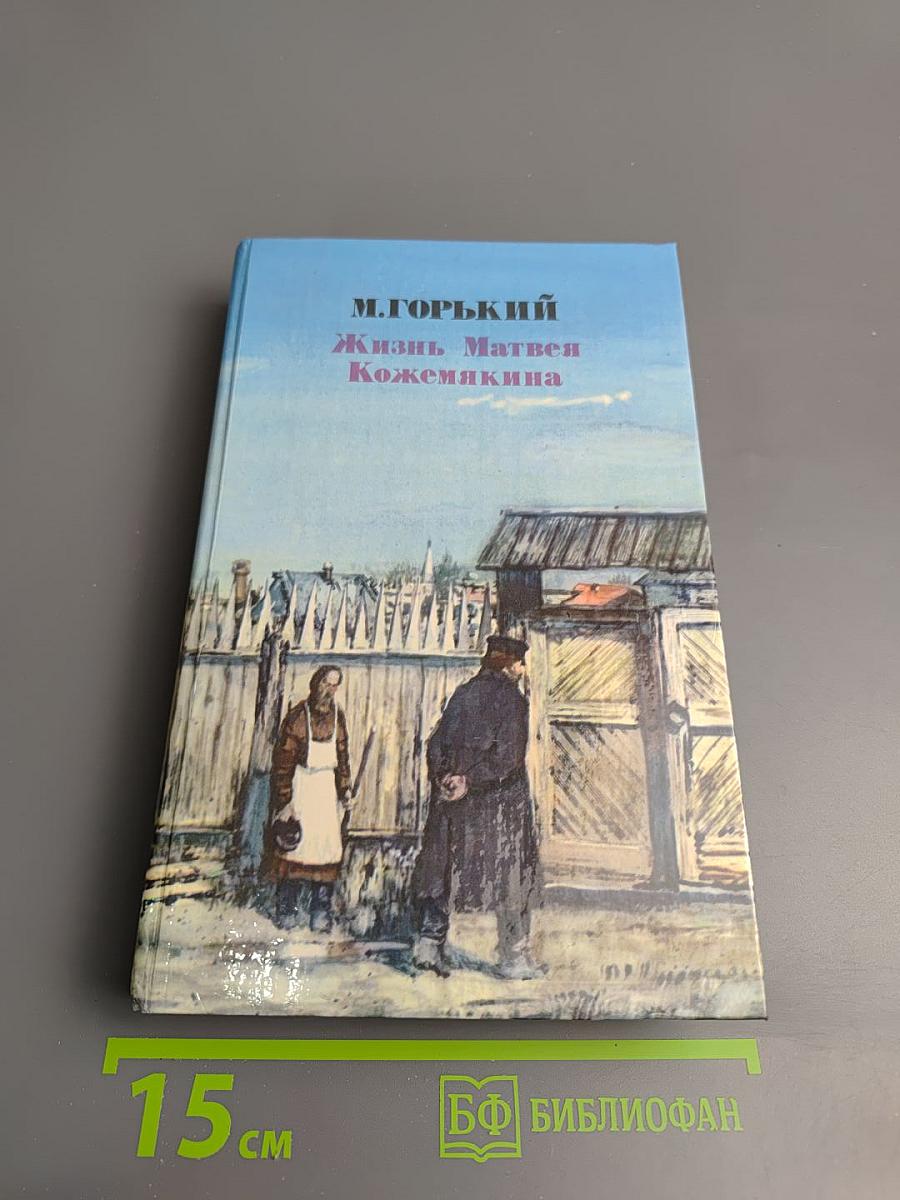 Жизнь Матвея Кожемякина