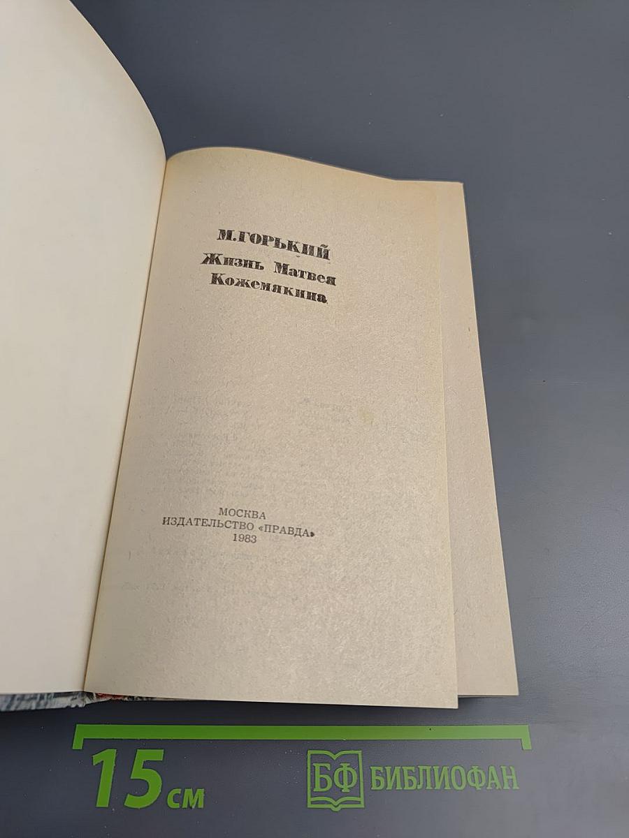 Жизнь Матвея Кожемякина