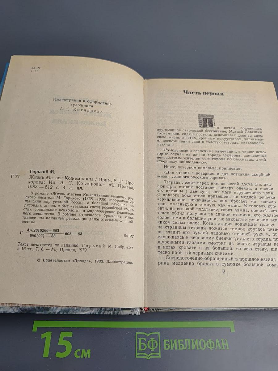 Жизнь Матвея Кожемякина