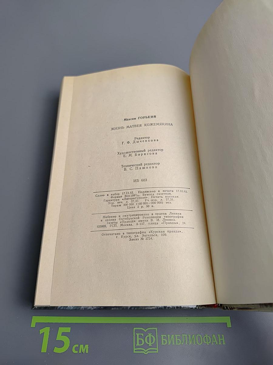 Жизнь Матвея Кожемякина