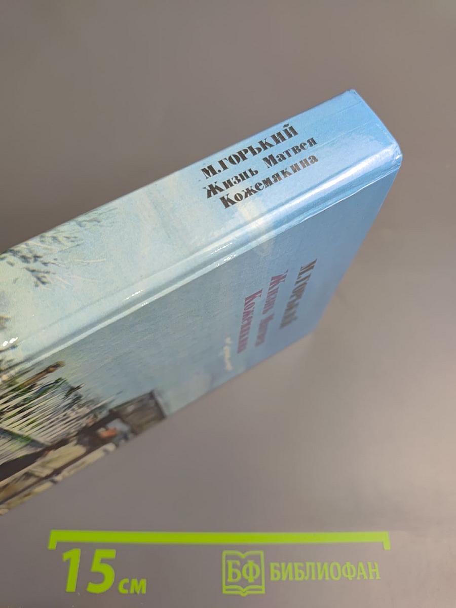 Жизнь Матвея Кожемякина