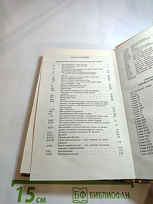 Влюбленный д'Артаньян или пятнадцать лет спустя