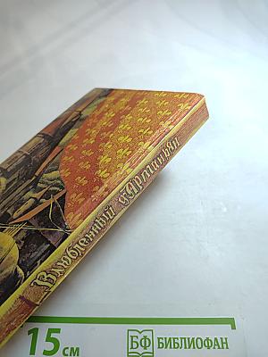 Влюбленный д'Артаньян или пятнадцать лет спустя