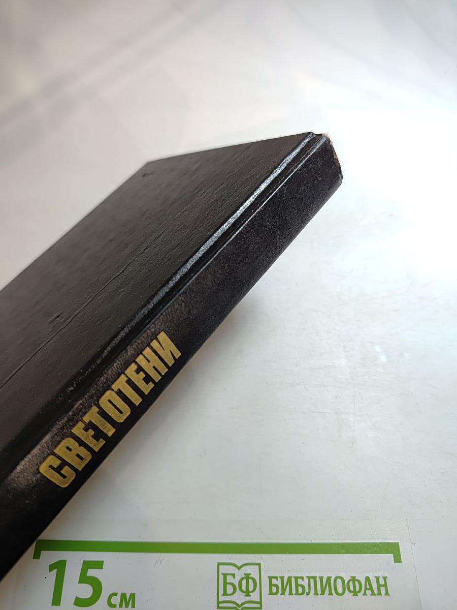 Светотени. Политический детектив