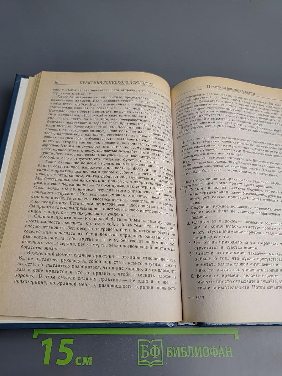 Путь воина Шамбалы. Практическое руководство