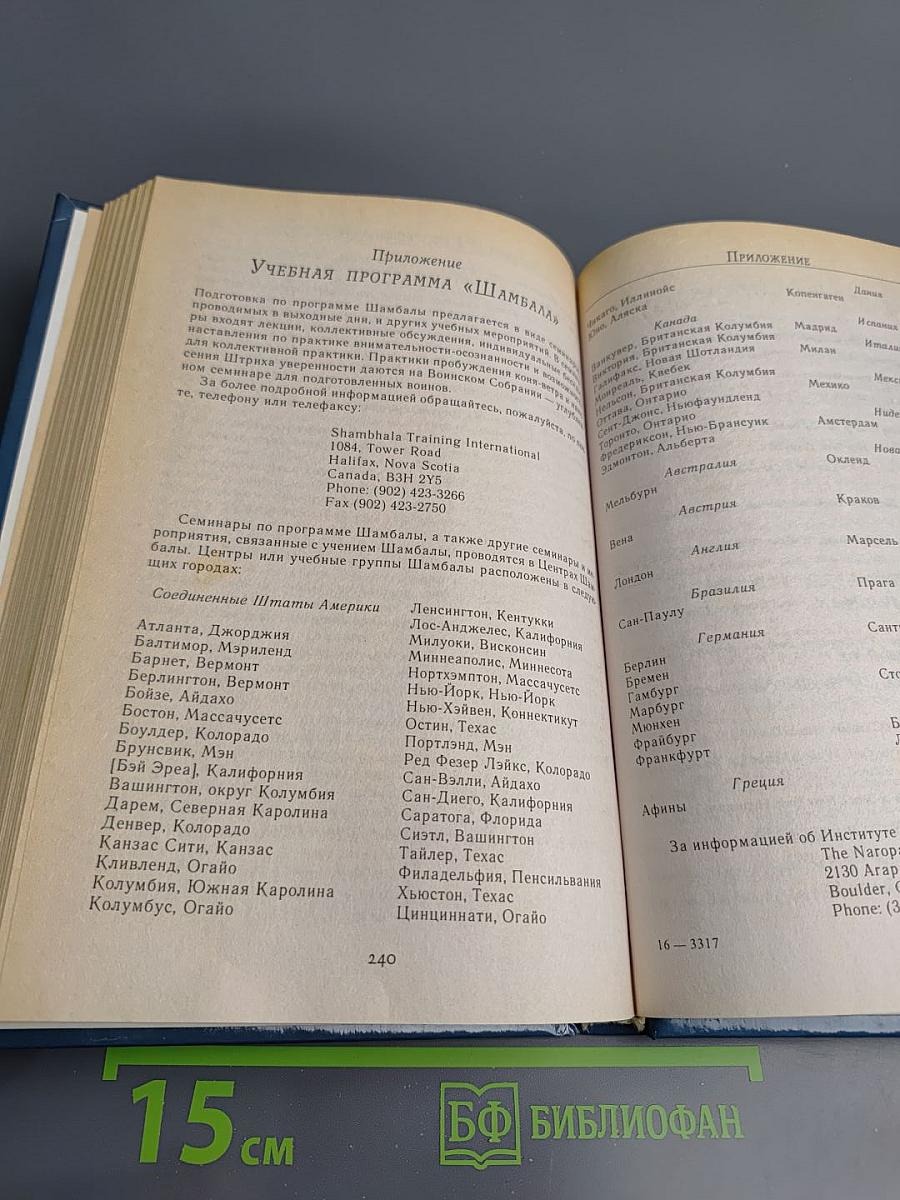 Путь воина Шамбалы. Практическое руководство