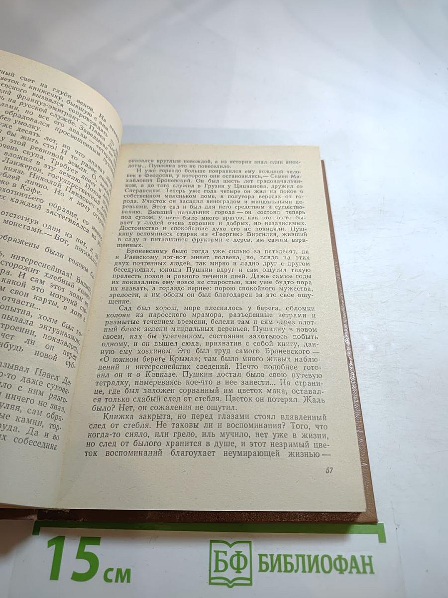 Пушкин на юге