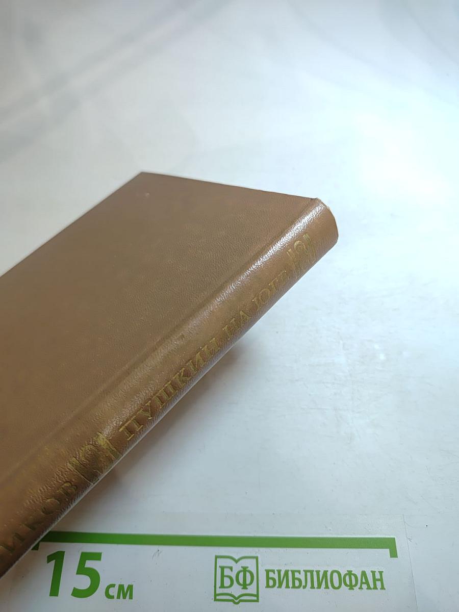 Пушкин на юге