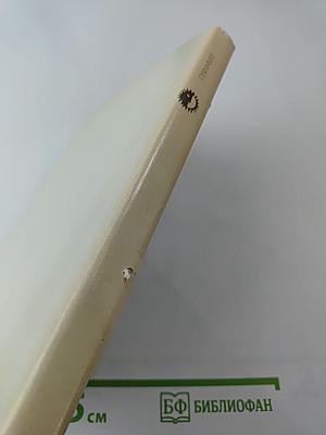 Дэвид Уорк Гриффит