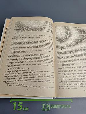 Россия молодая. Книга вторая