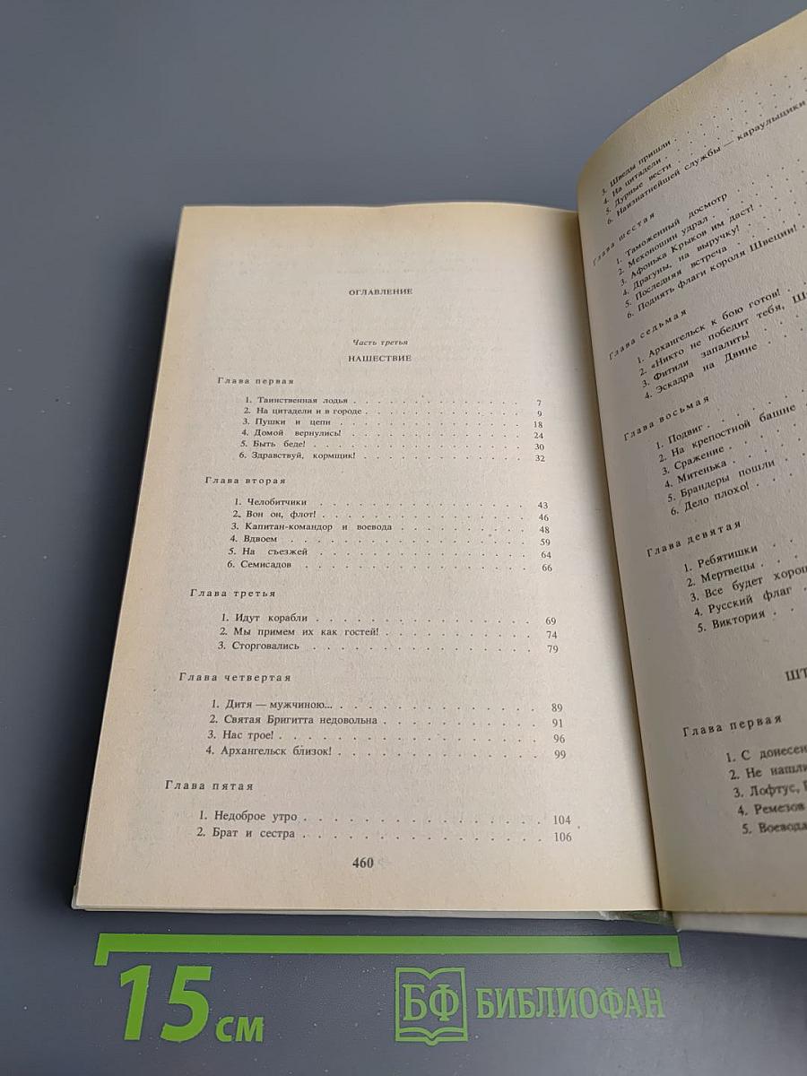 Россия молодая. Книга вторая