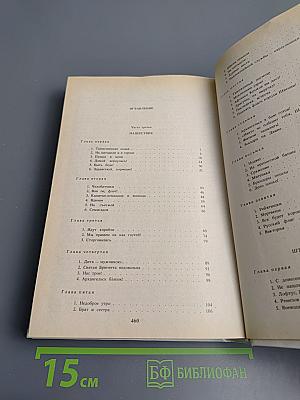 Россия молодая. Книга вторая