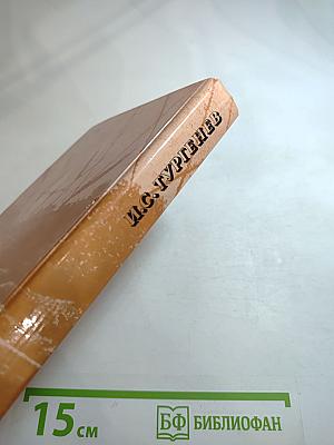 И.С. Тургенев. Сочинения. Поэмы, повести и рассказы, из литературных и житейских воспоминаний