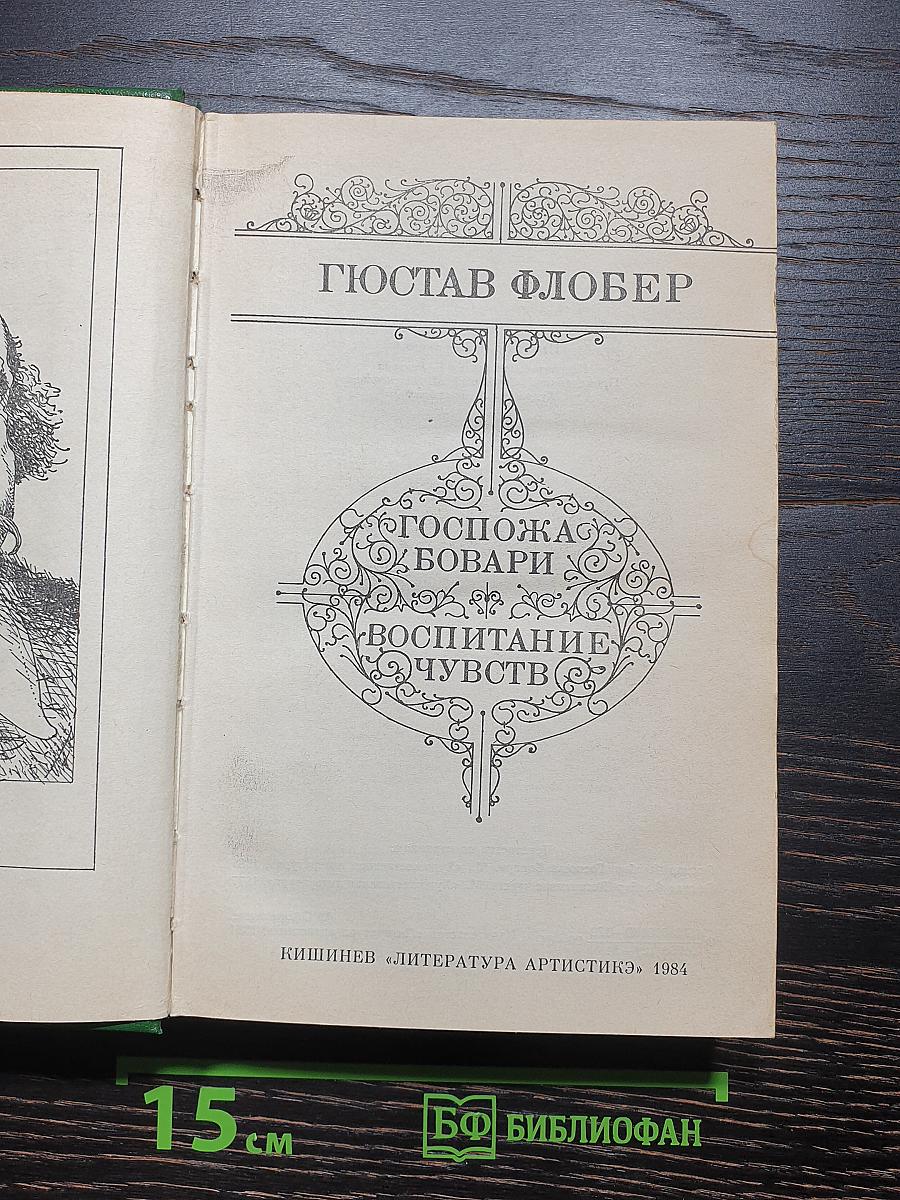 Госпожа Бовари. Воспитание чувств