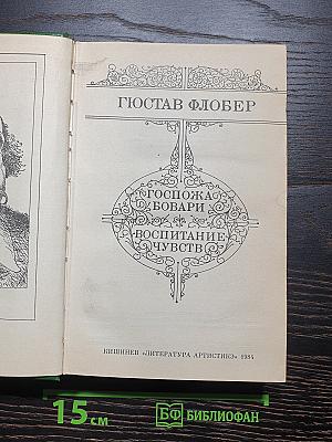 Госпожа Бовари. Воспитание чувств