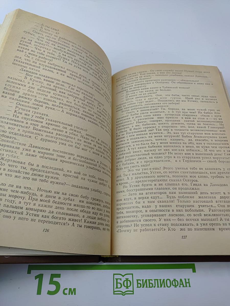 Поднятая целина. Книга вторая