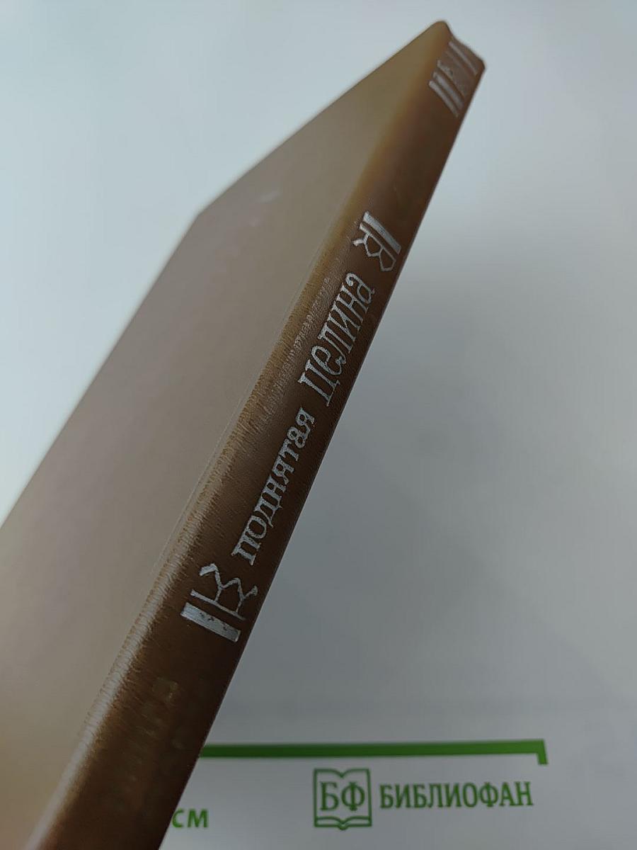 Поднятая целина. Книга вторая