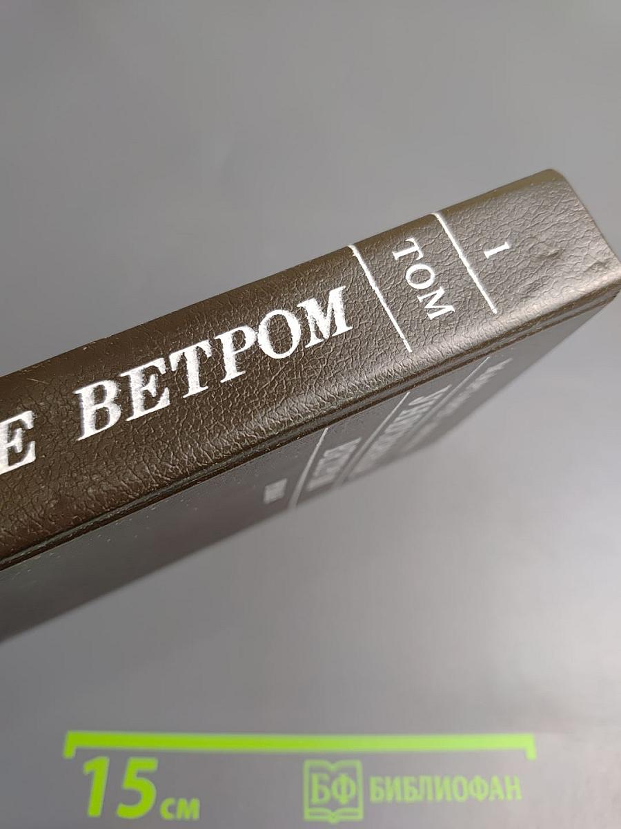 Унесенные ветром Том I