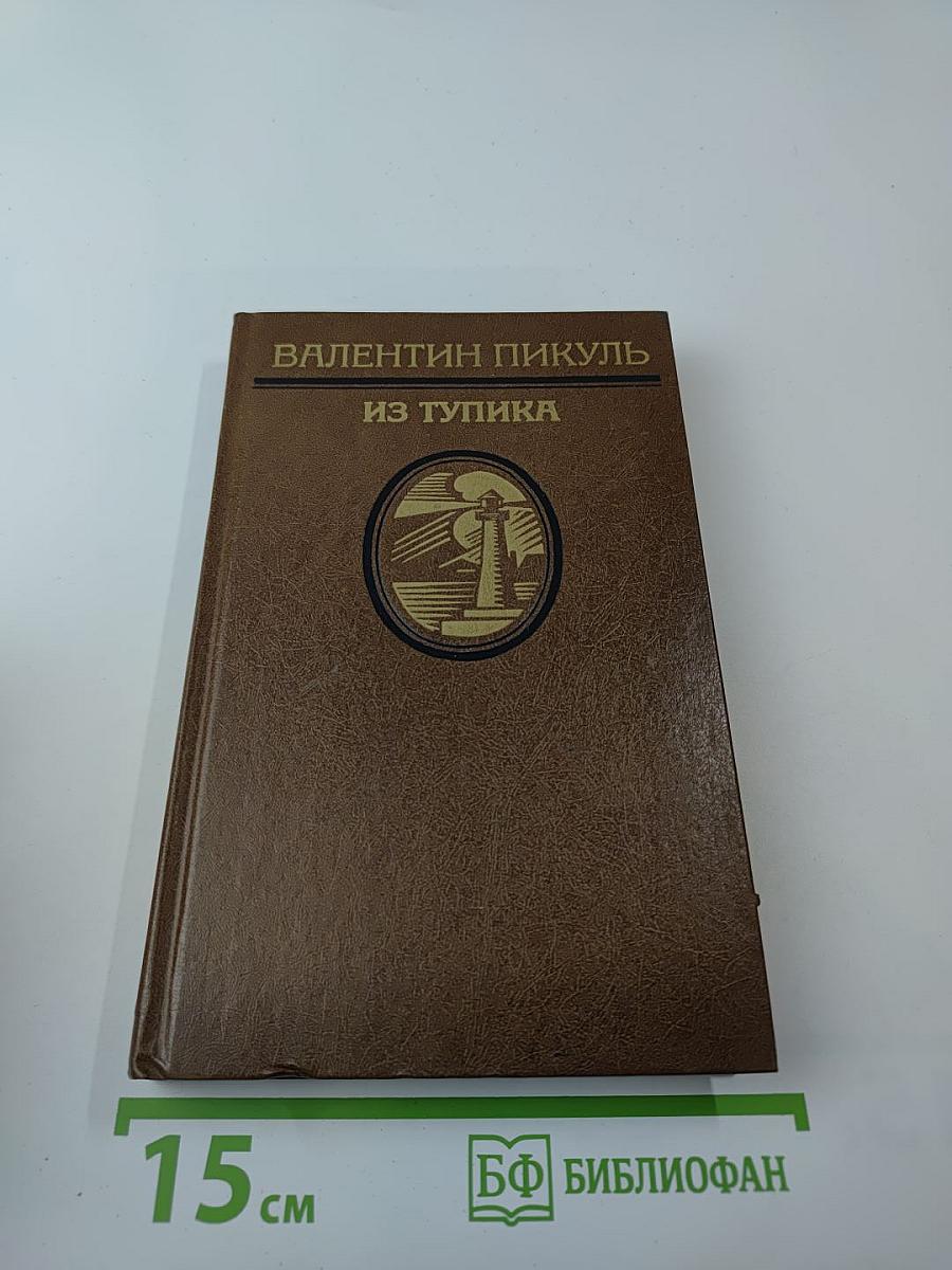 Из тупика. Том второй: Кровь на снегу