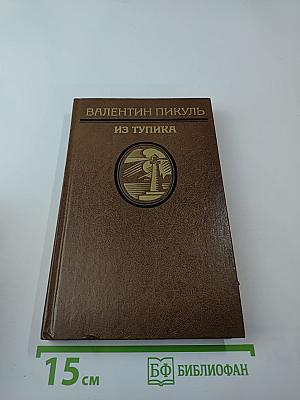 Из тупика. Том второй: Кровь на снегу