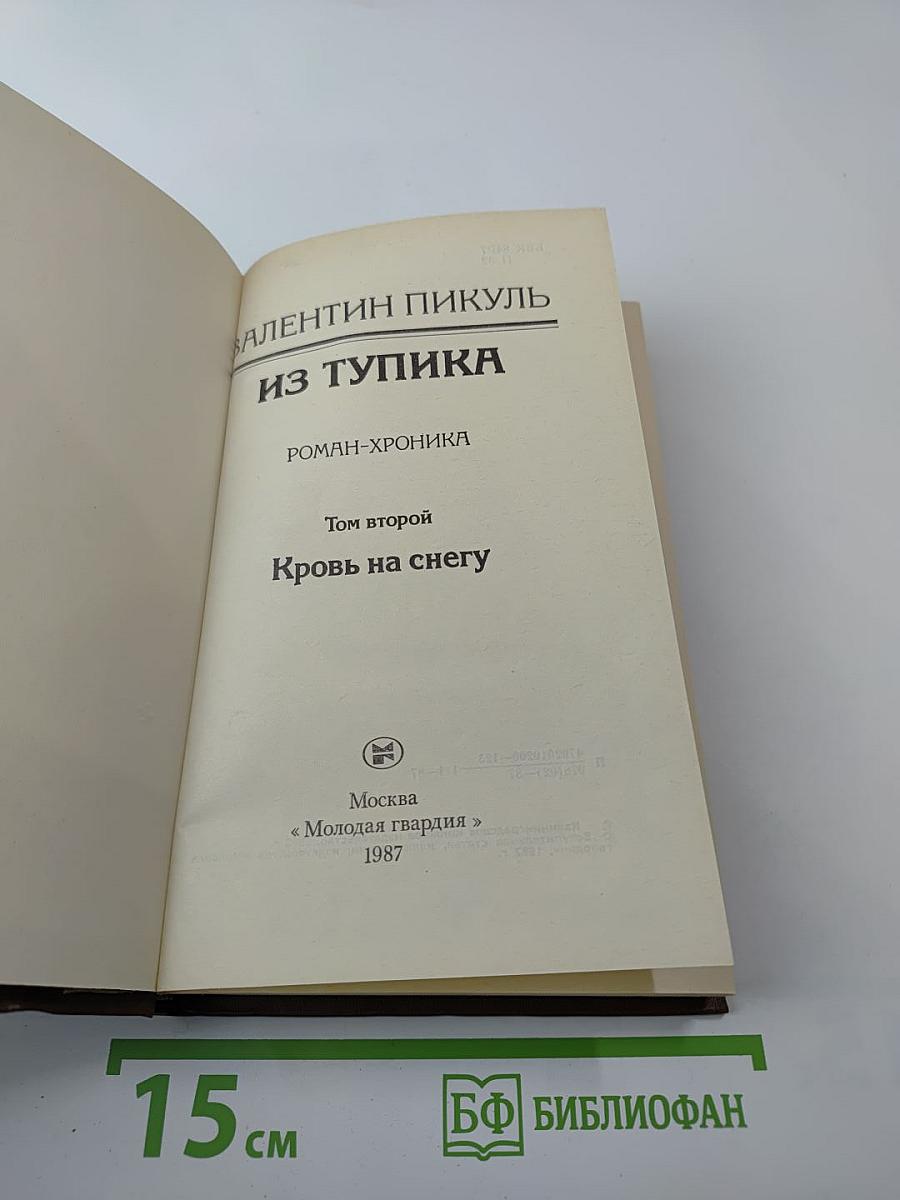 Из тупика. Том второй: Кровь на снегу