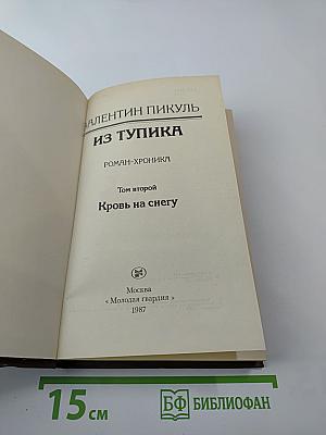 Из тупика. Том второй: Кровь на снегу