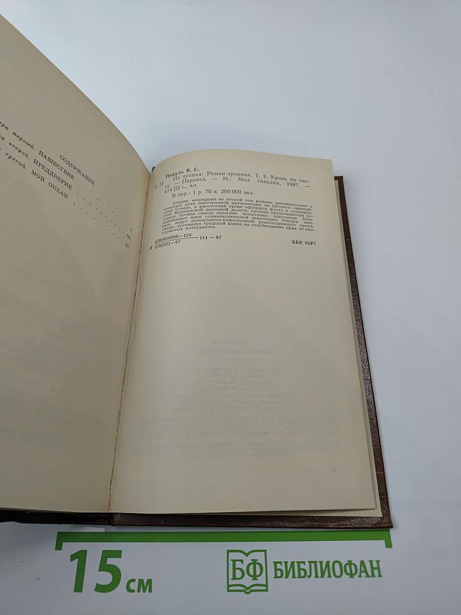 Из тупика. Том второй: Кровь на снегу