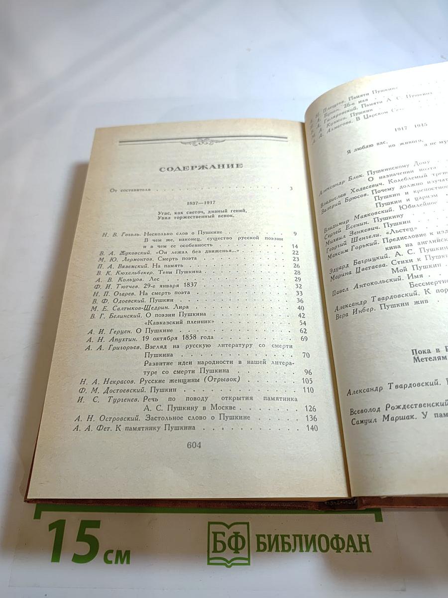 Светлое имя Пушкин