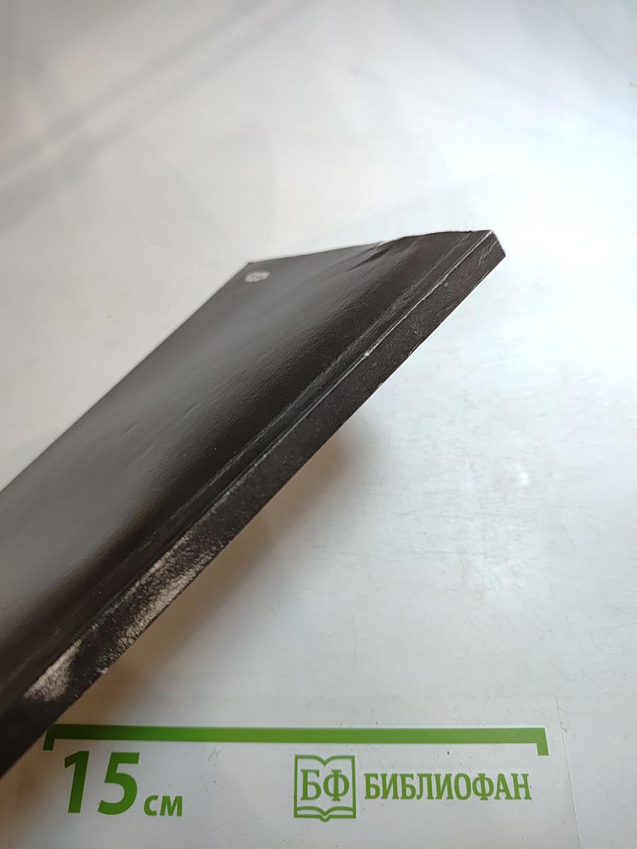 Своевременные мысли, или Пророки в своем отечестве