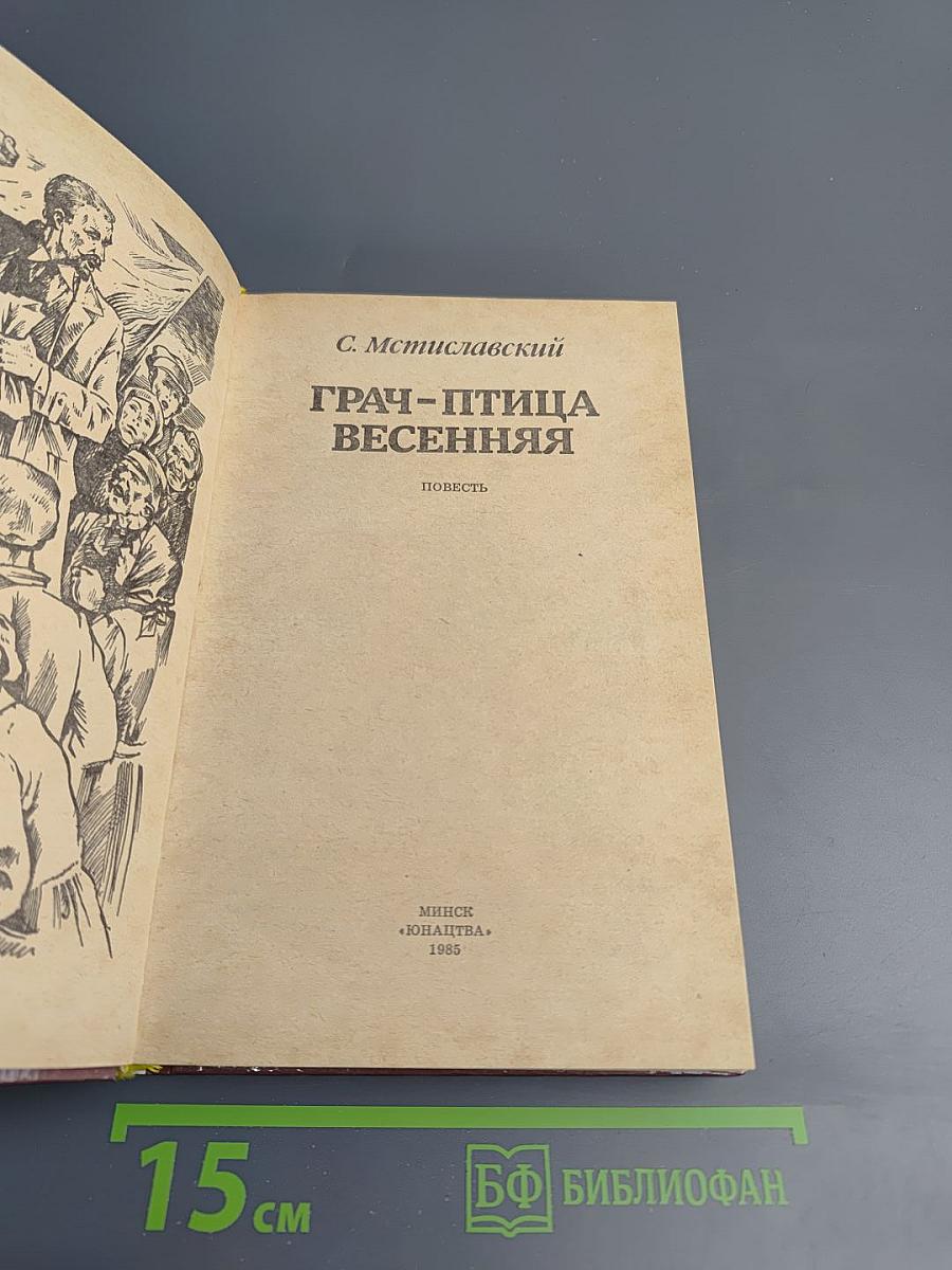 Грач-птица весенняя