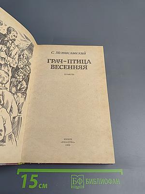 Грач-птица весенняя