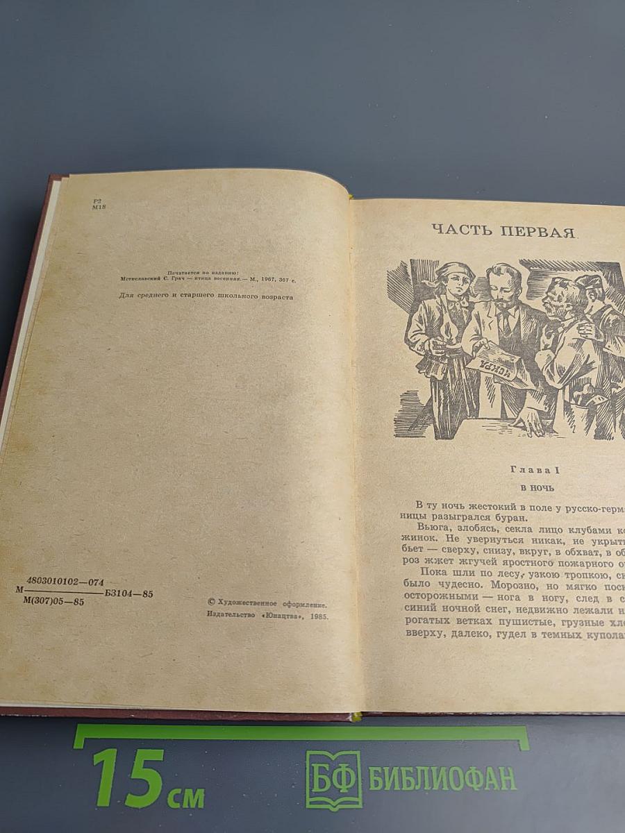 Грач-птица весенняя