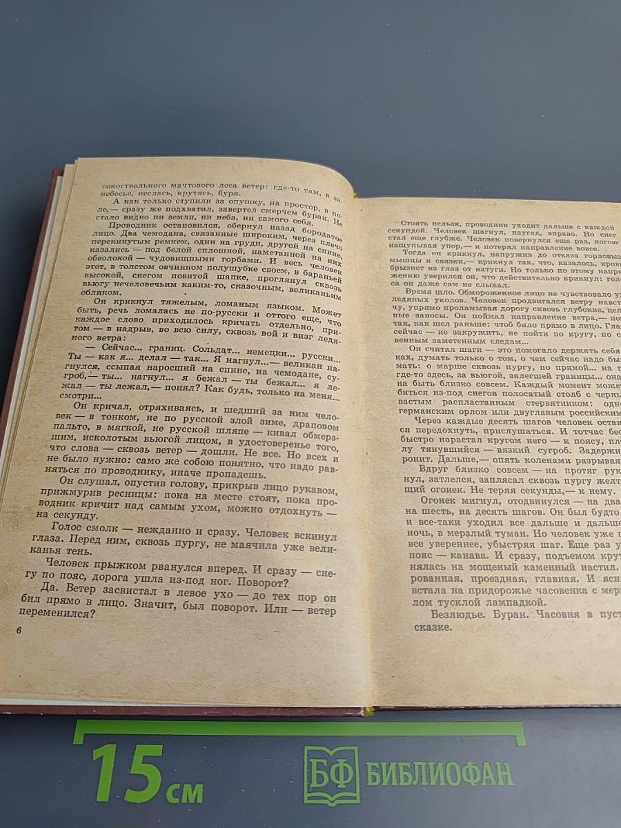 Грач-птица весенняя