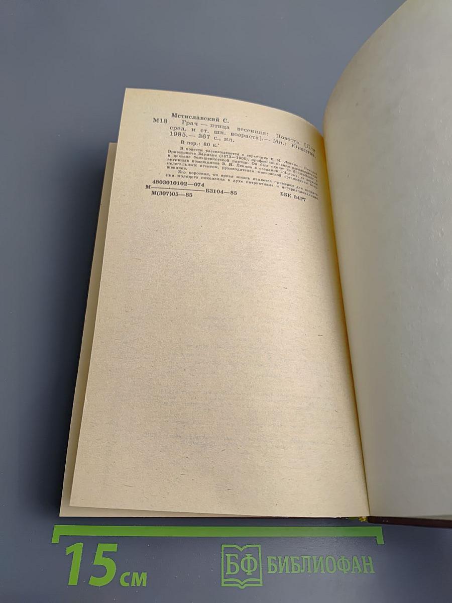 Грач-птица весенняя