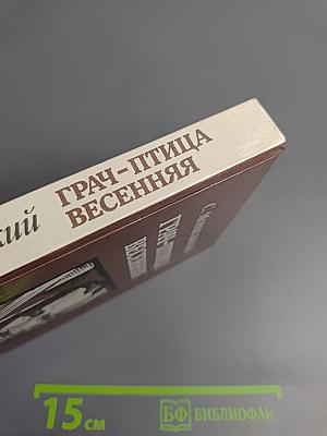 Грач-птица весенняя