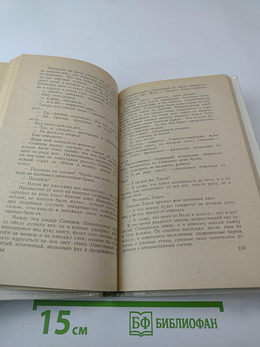 Мещанское счастье. Очерки бурсы