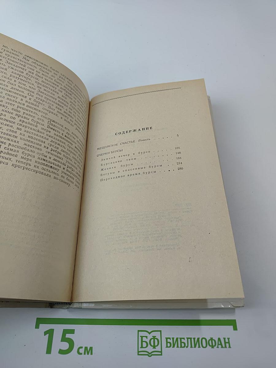 Мещанское счастье. Очерки бурсы