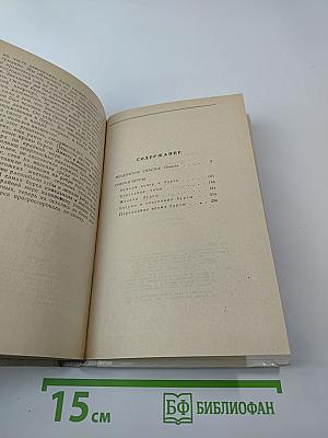 Мещанское счастье. Очерки бурсы