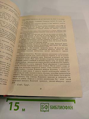 Тихий Дон. Роман в четырех книгах. Том II (Книга третья, Книга четвертая)